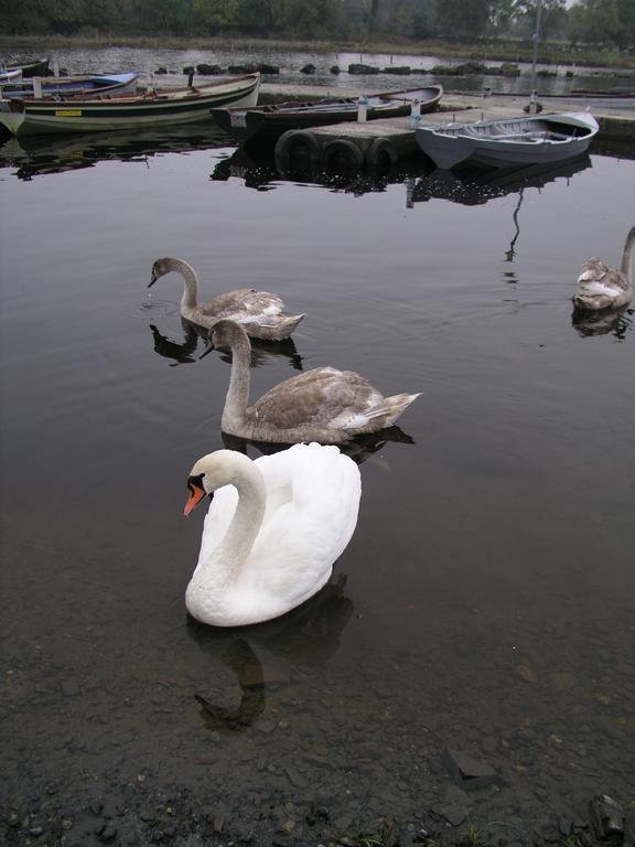 Lakeland Midsummer Lakehouse Oughterard Exteriör bild